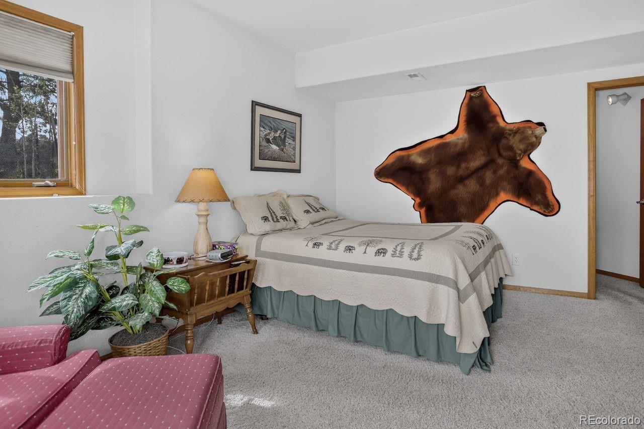 MLS Image #40 for 7307  settlers drive,morrison, Colorado