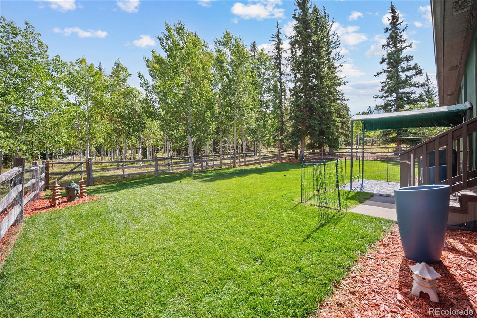MLS Image #31 for 1113  ptarmigan drive,woodland park, Colorado