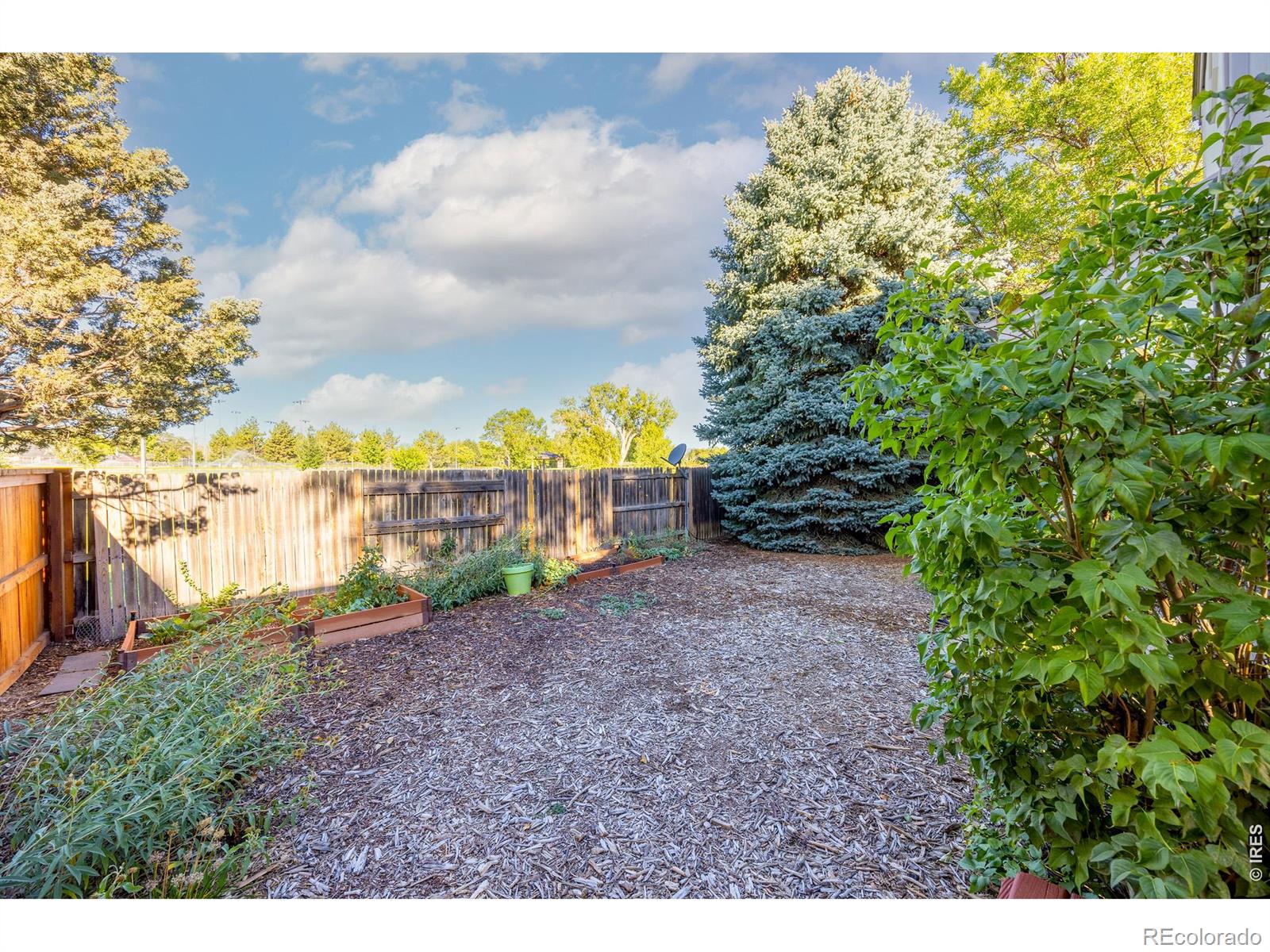 MLS Image #21 for 1841  juniper street,longmont, Colorado
