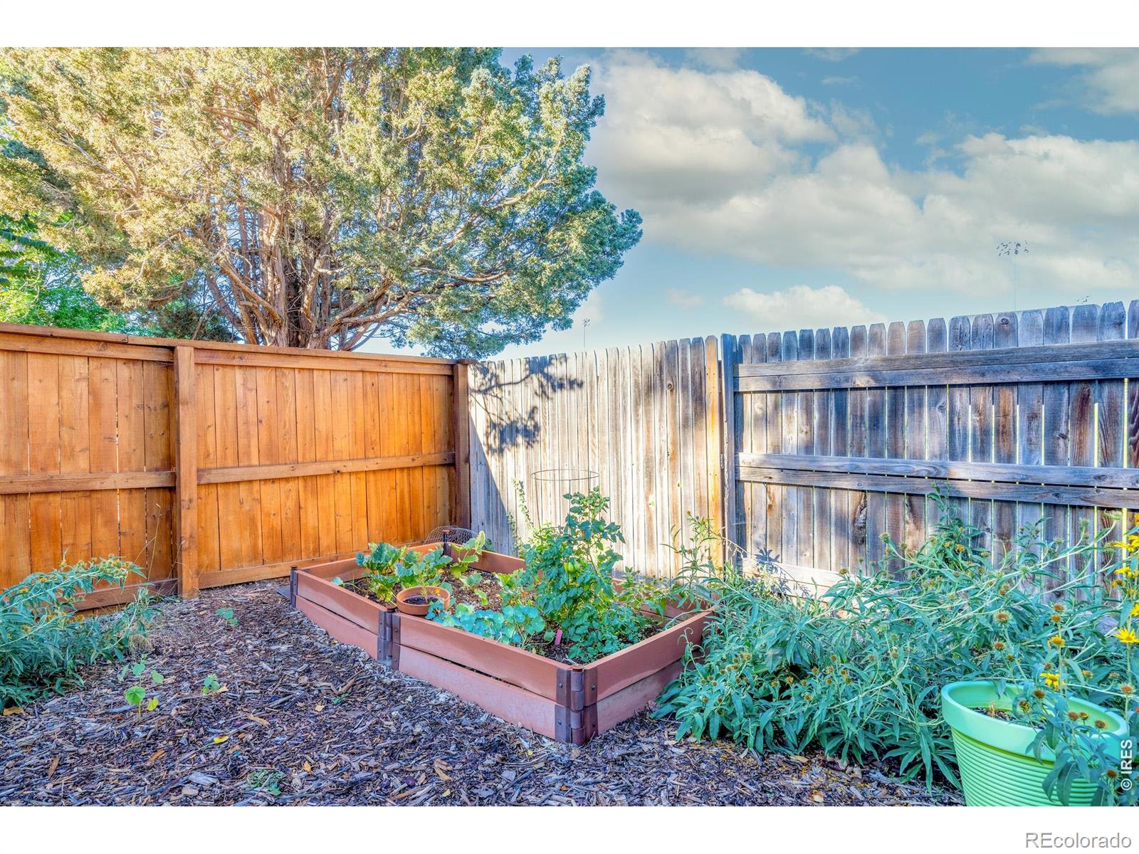 MLS Image #22 for 1841  juniper street,longmont, Colorado