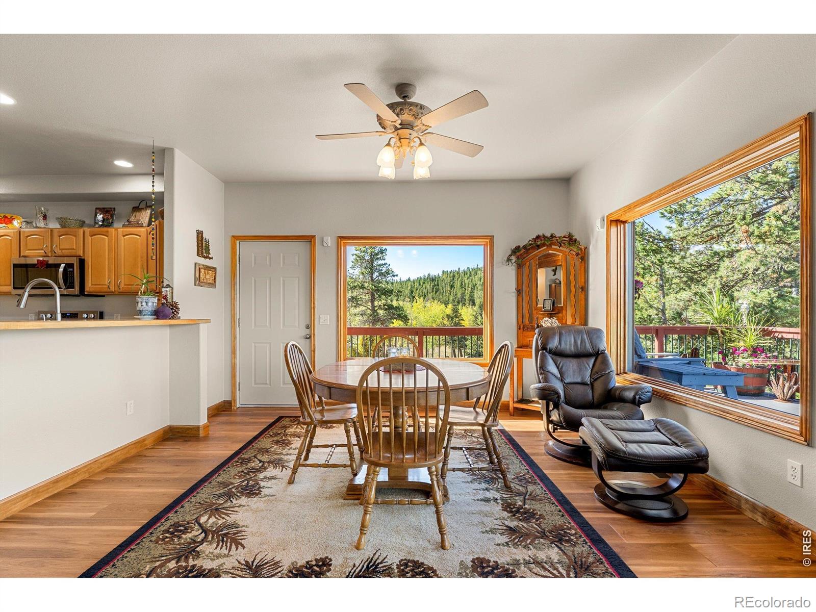 MLS Image #11 for 563  pine cone circle,ward, Colorado