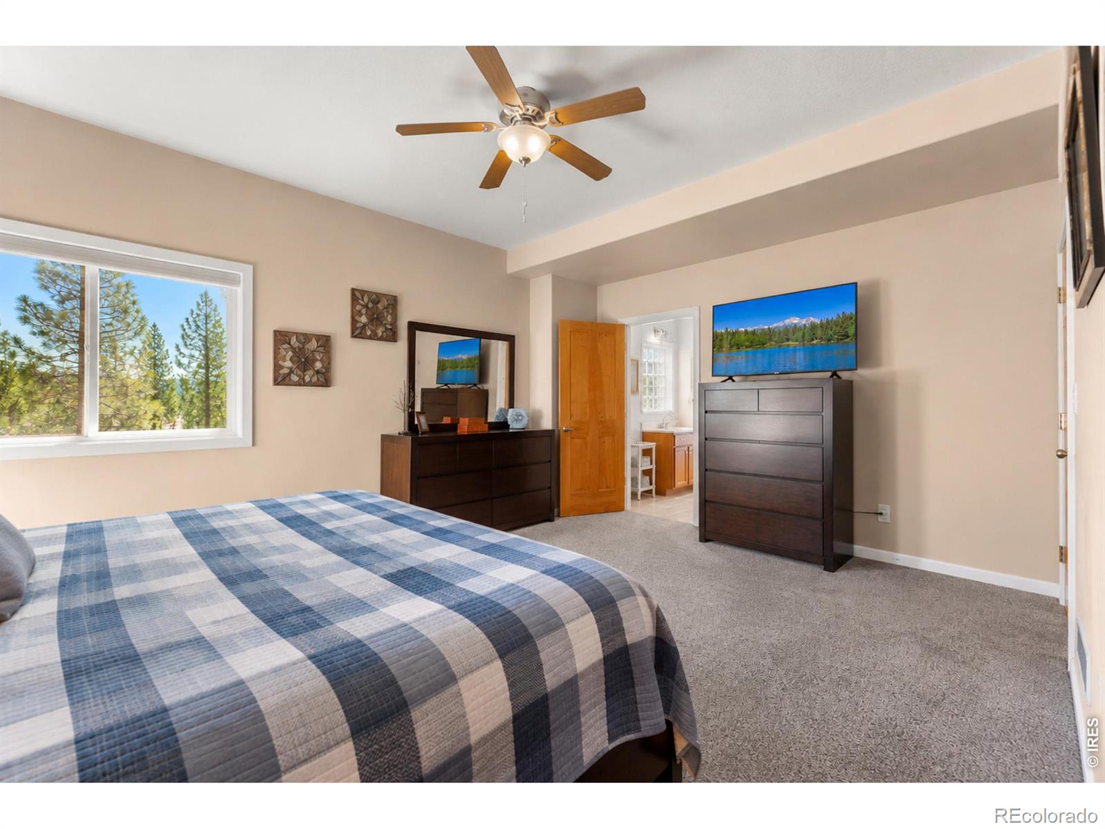 MLS Image #18 for 563  pine cone circle,ward, Colorado