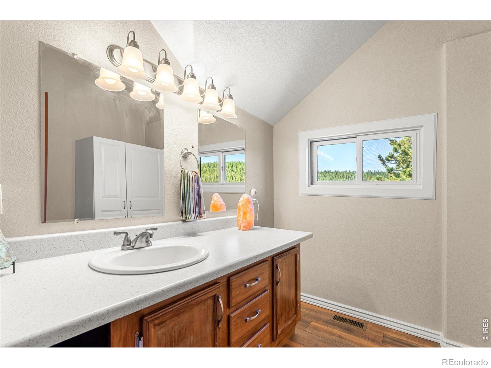MLS Image #29 for 563  pine cone circle,ward, Colorado