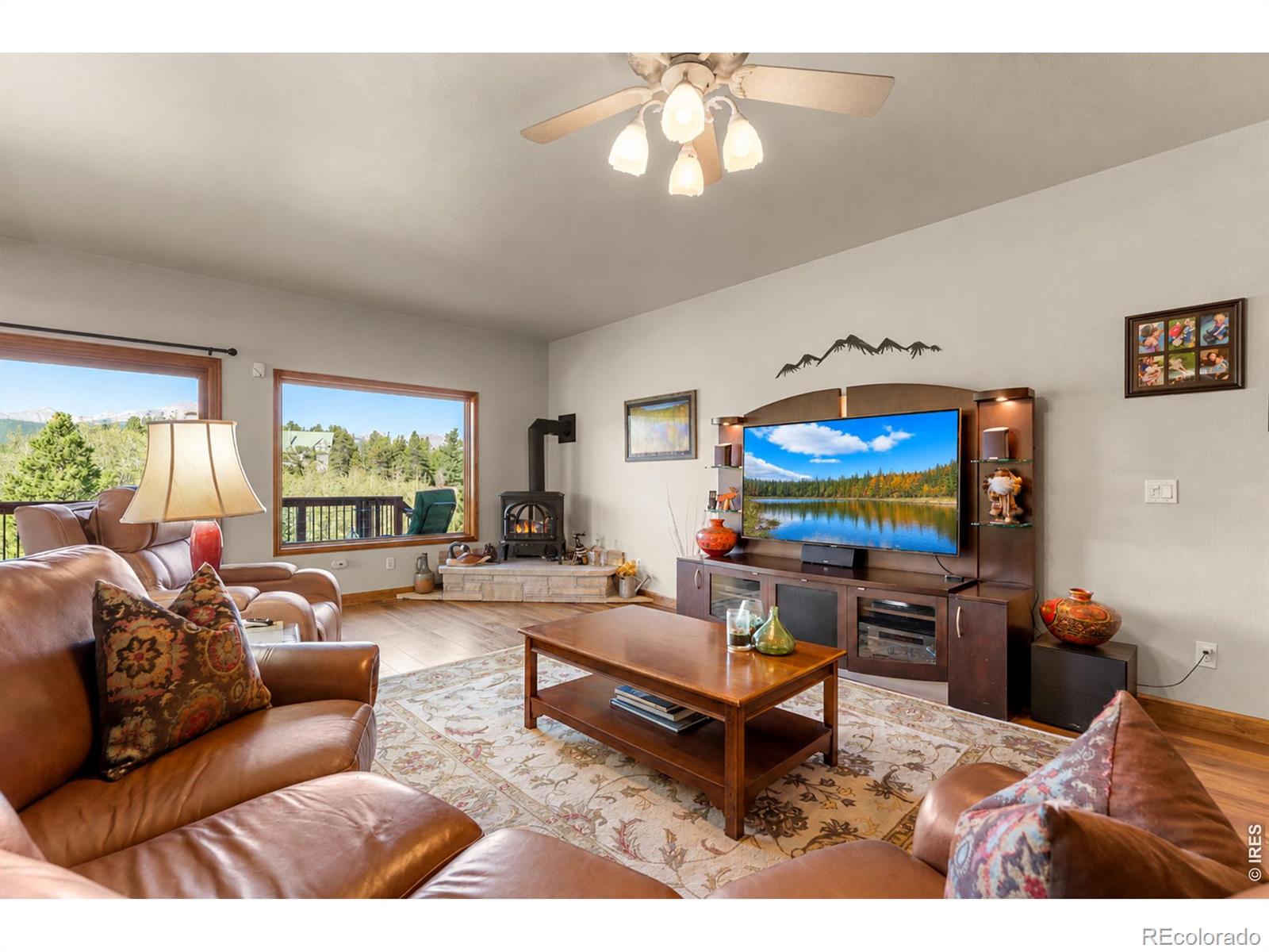 MLS Image #5 for 563  pine cone circle,ward, Colorado