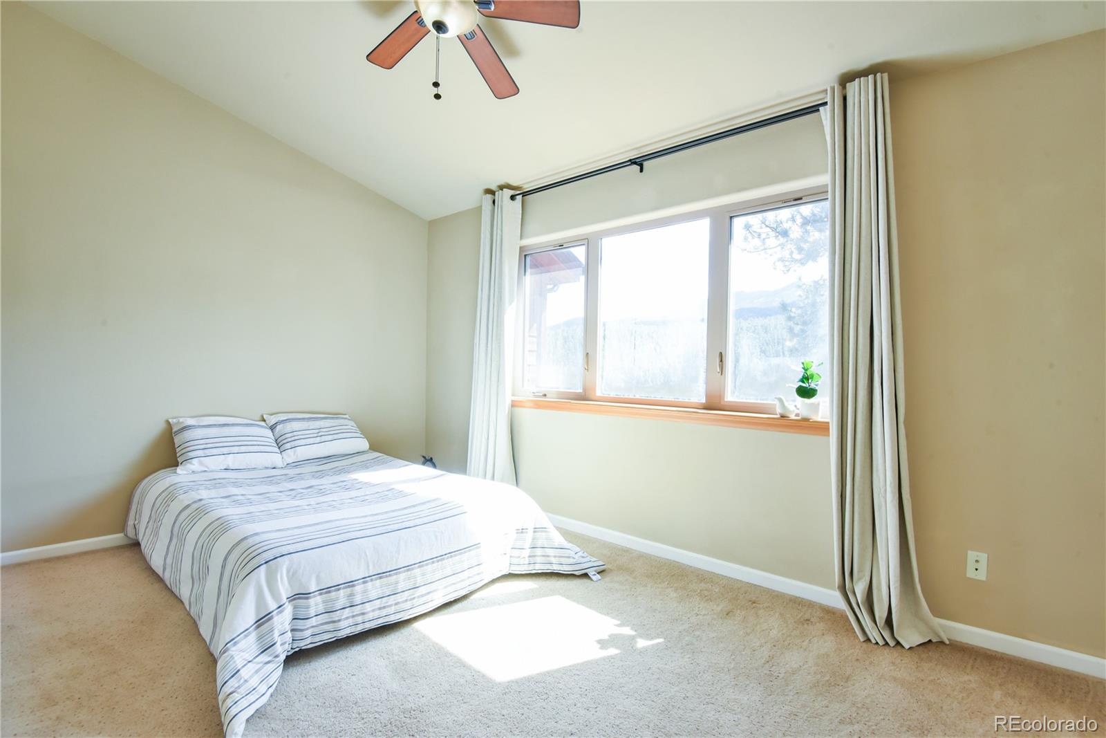 MLS Image #12 for 305  virginia road,bailey, Colorado