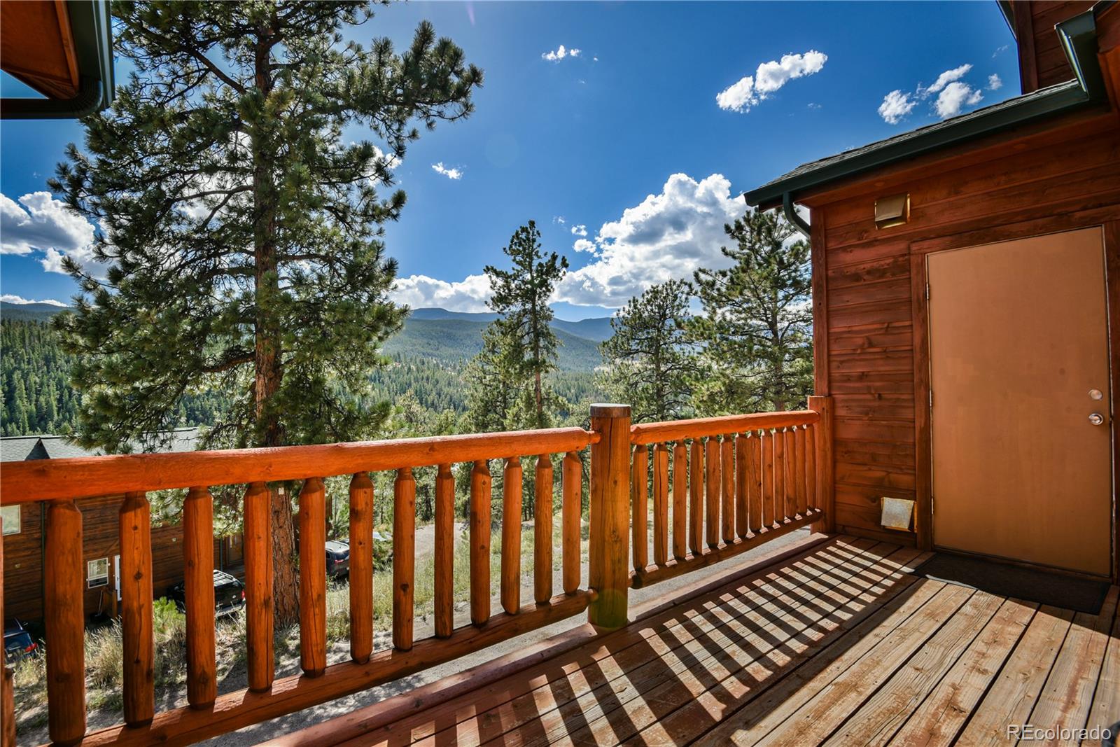 MLS Image #19 for 305  virginia road,bailey, Colorado
