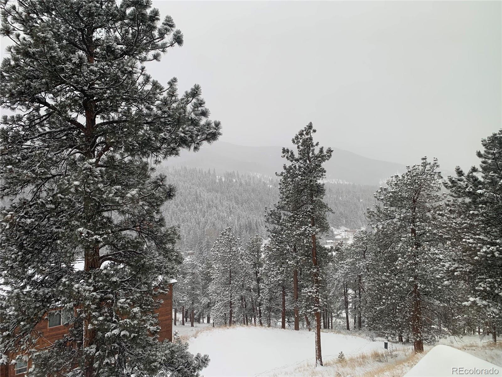 MLS Image #34 for 305  virginia road,bailey, Colorado
