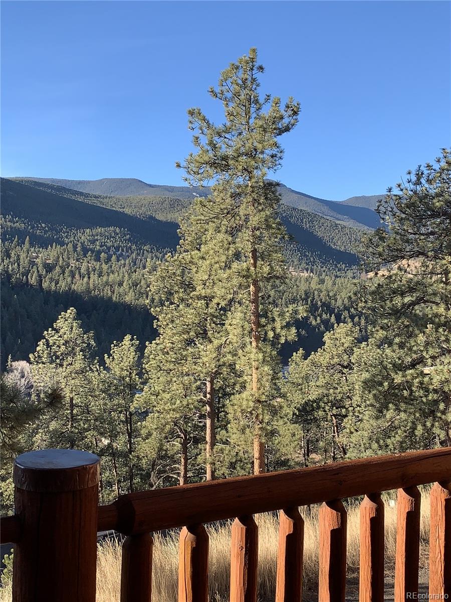 MLS Image #35 for 305  virginia road,bailey, Colorado