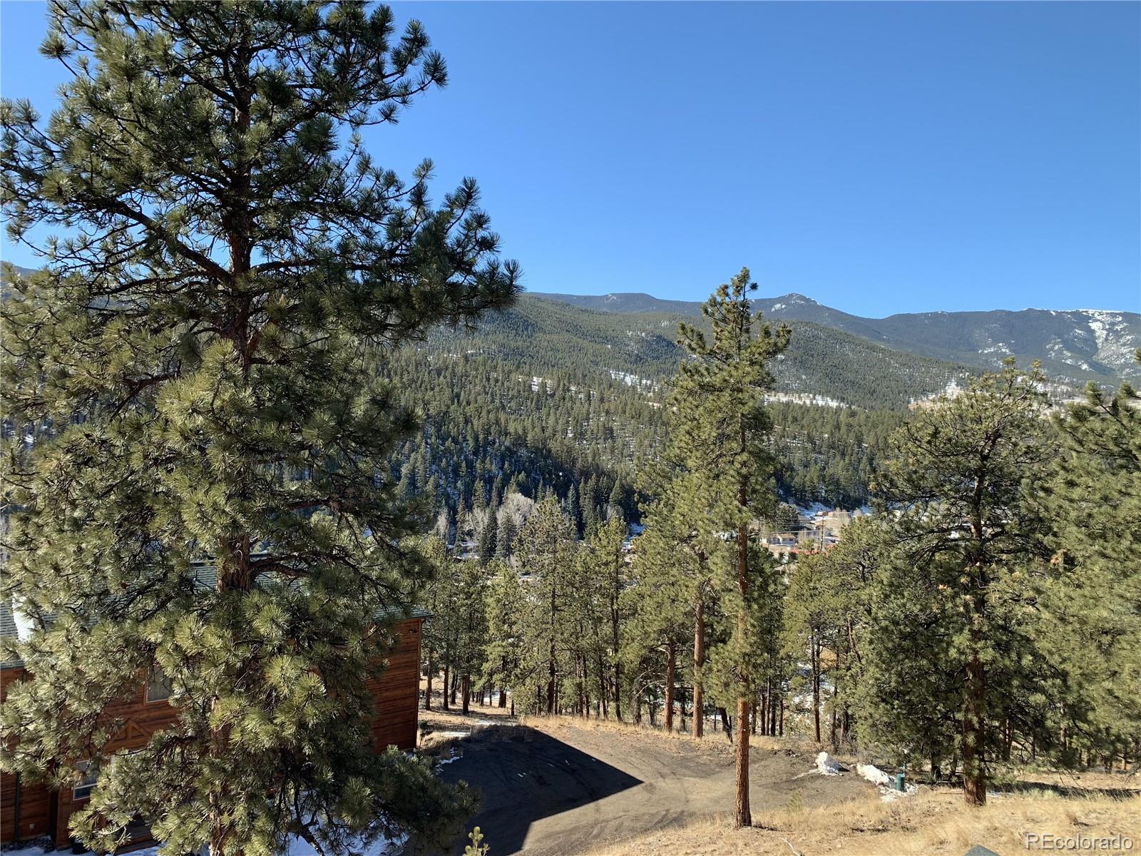 MLS Image #36 for 305  virginia road,bailey, Colorado