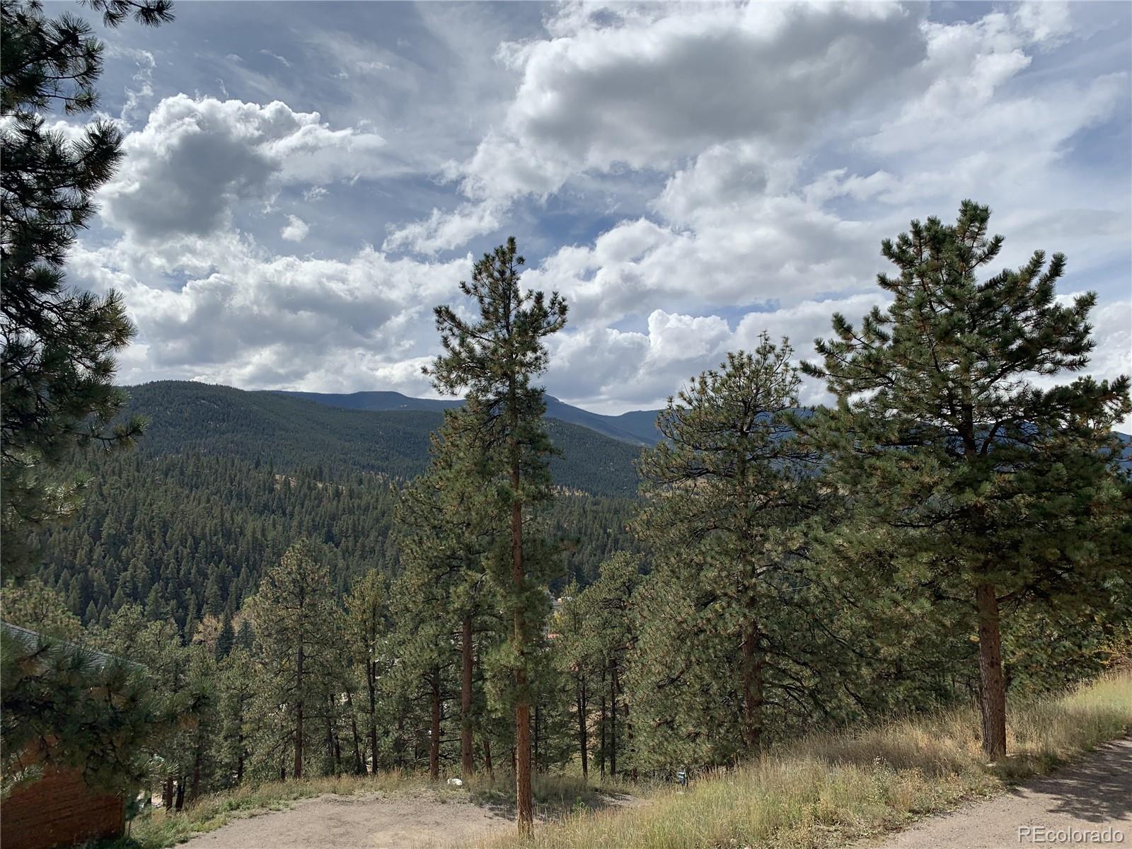 MLS Image #37 for 305  virginia road,bailey, Colorado