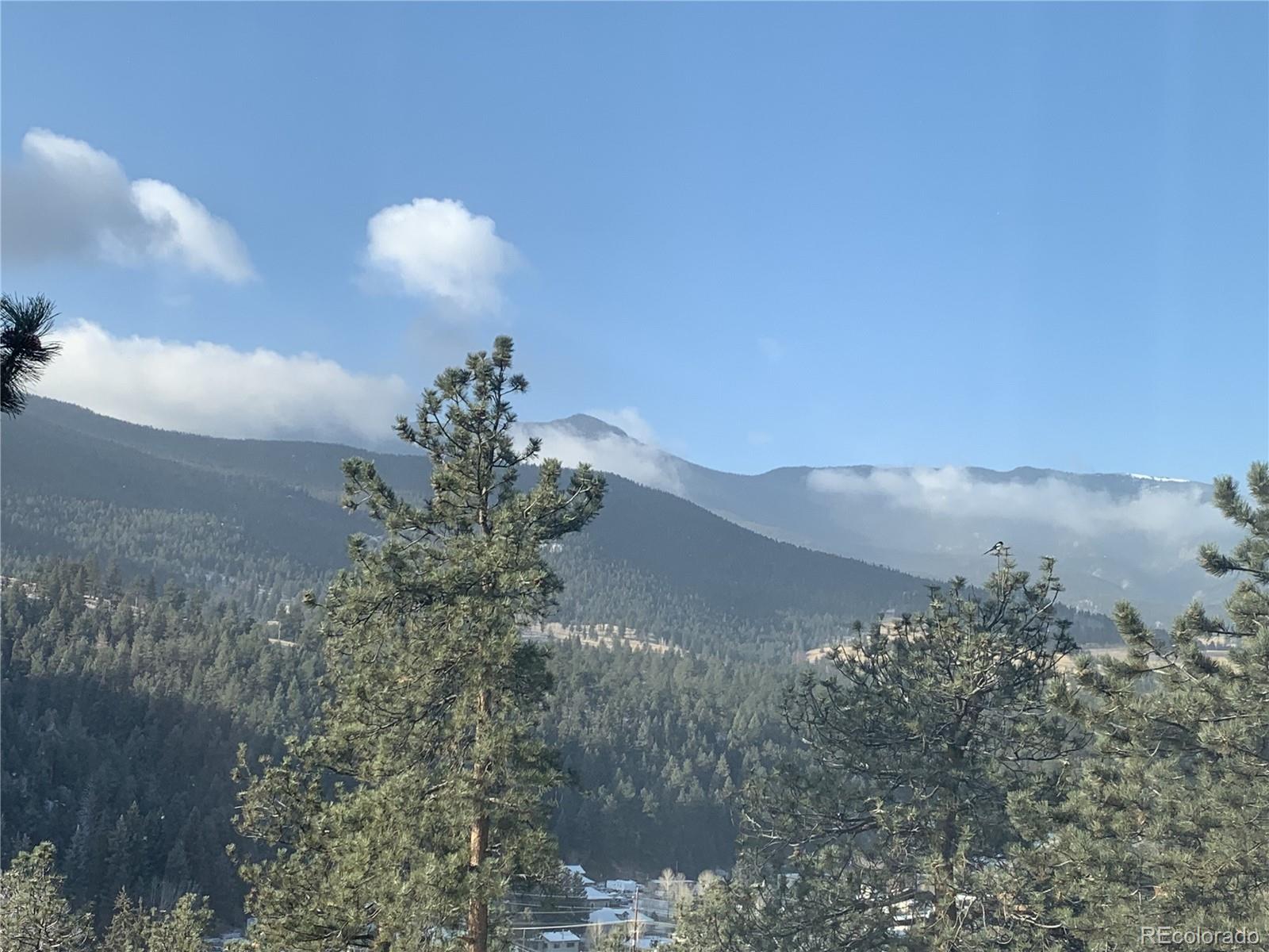 MLS Image #39 for 305  virginia road,bailey, Colorado
