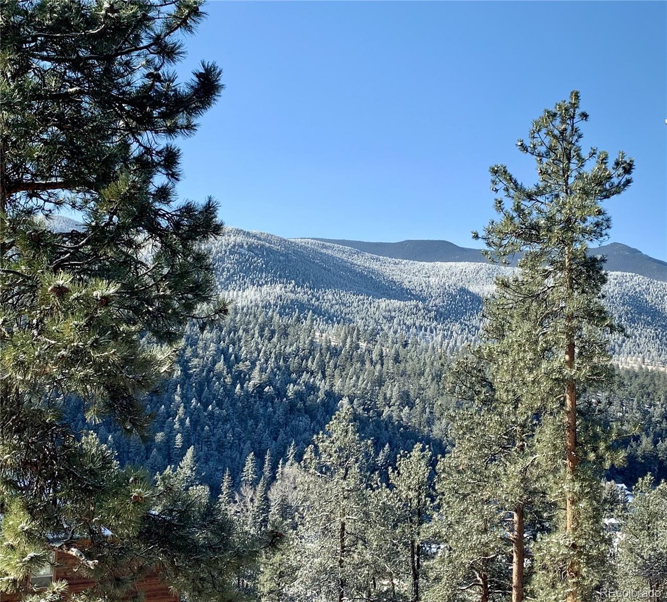 MLS Image #40 for 305  virginia road,bailey, Colorado