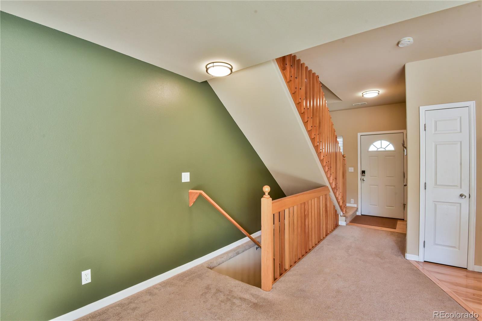 MLS Image #5 for 305  virginia road,bailey, Colorado