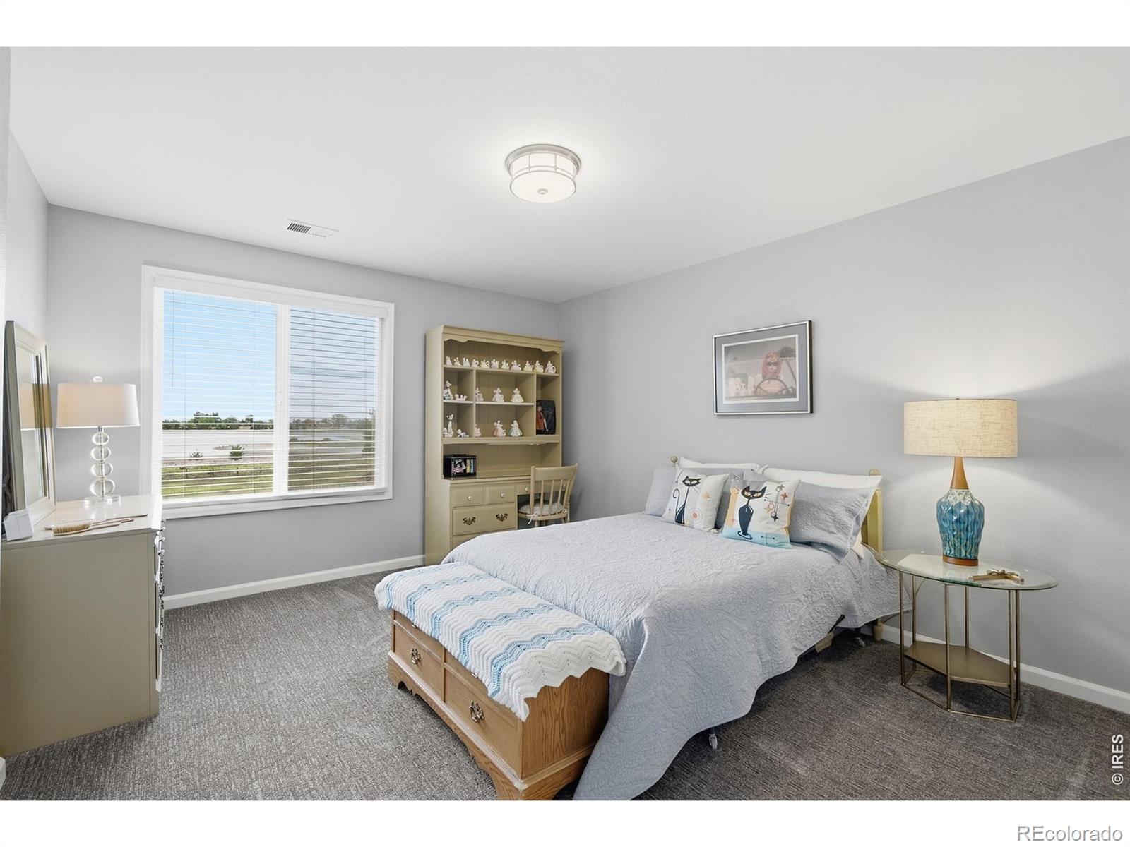 MLS Image #28 for 125  hunters cove road,mead, Colorado