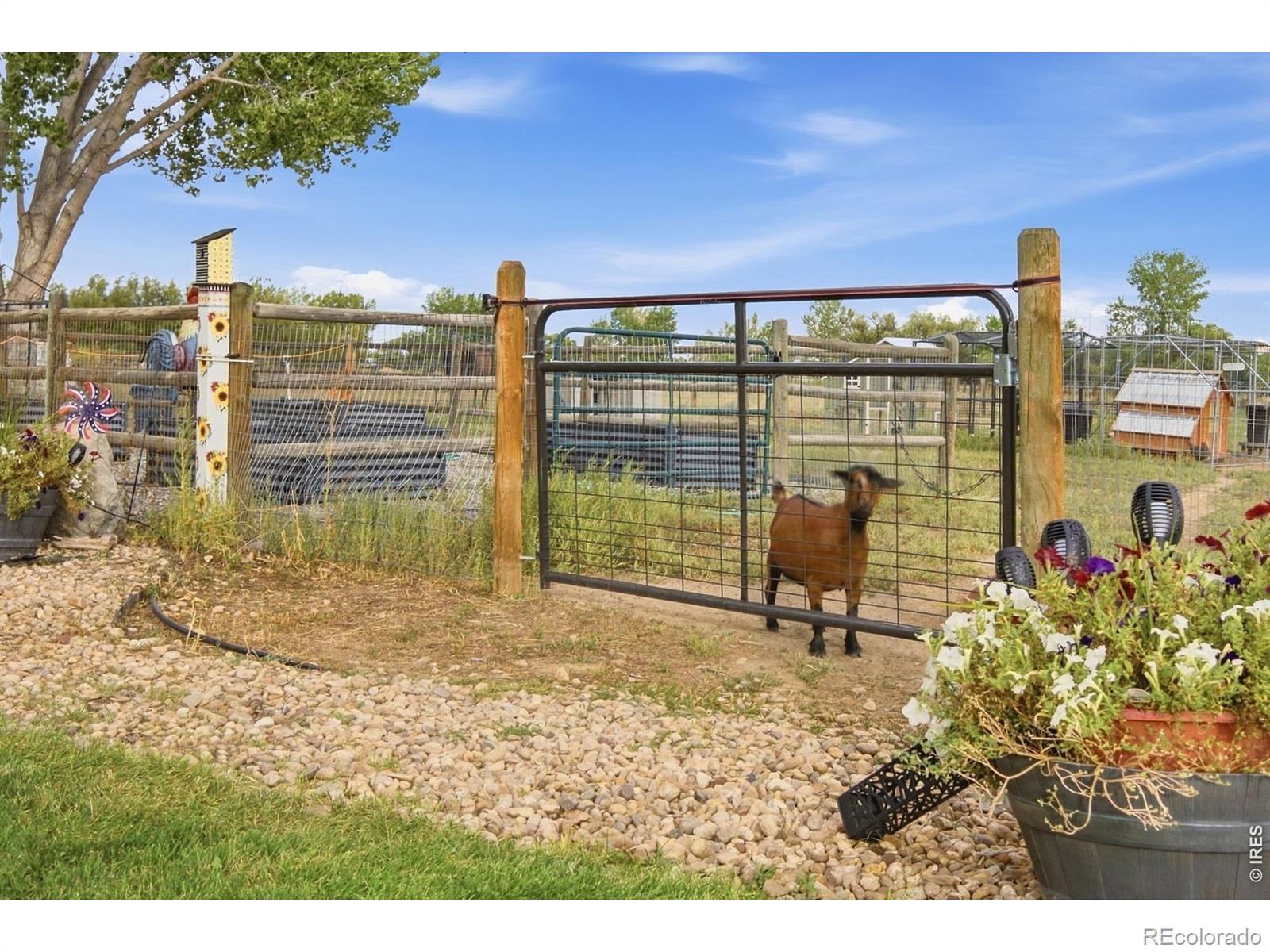 MLS Image #43 for 125  hunters cove road,mead, Colorado