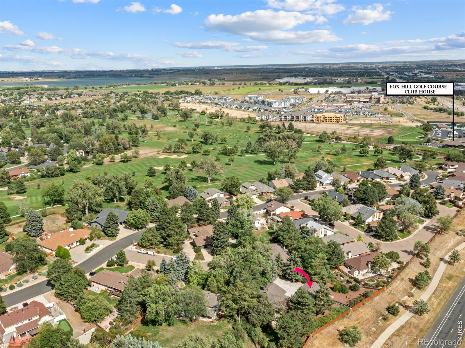 MLS Image #42 for 309  glenview court,longmont, Colorado
