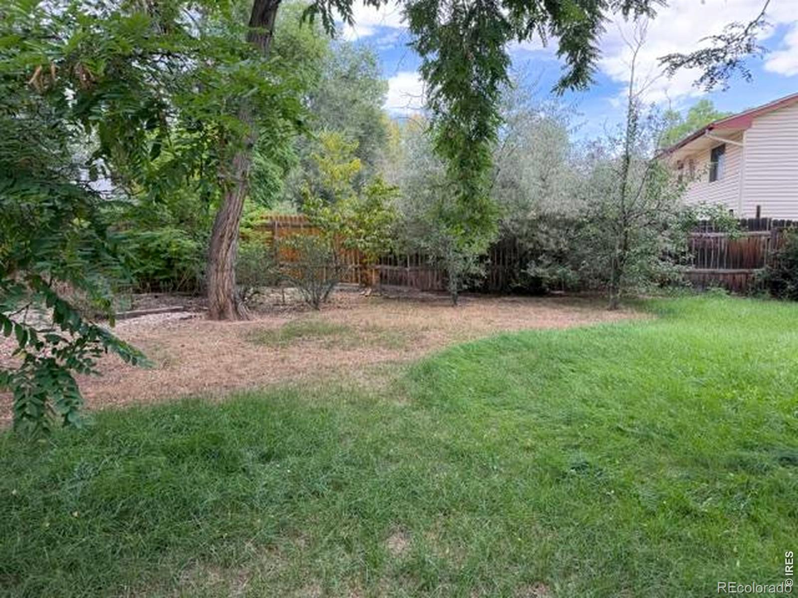 MLS Image #5 for 2125  constitution avenue,fort collins, Colorado