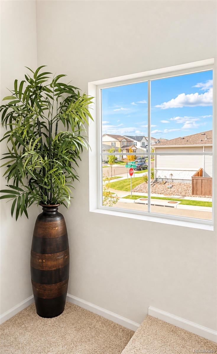 MLS Image #17 for 9142  telluride court,commerce city, Colorado