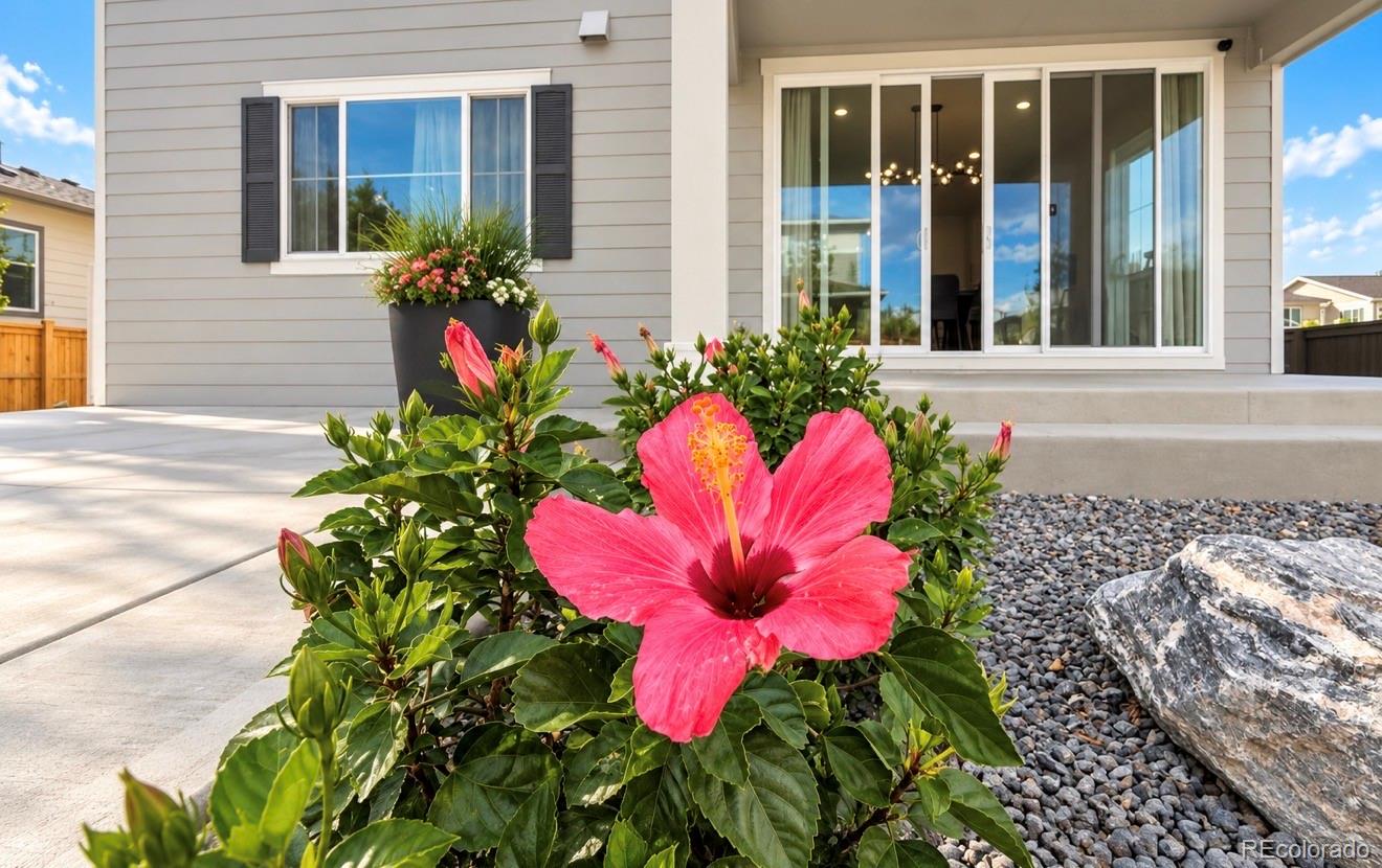 MLS Image #20 for 9142  telluride court,commerce city, Colorado