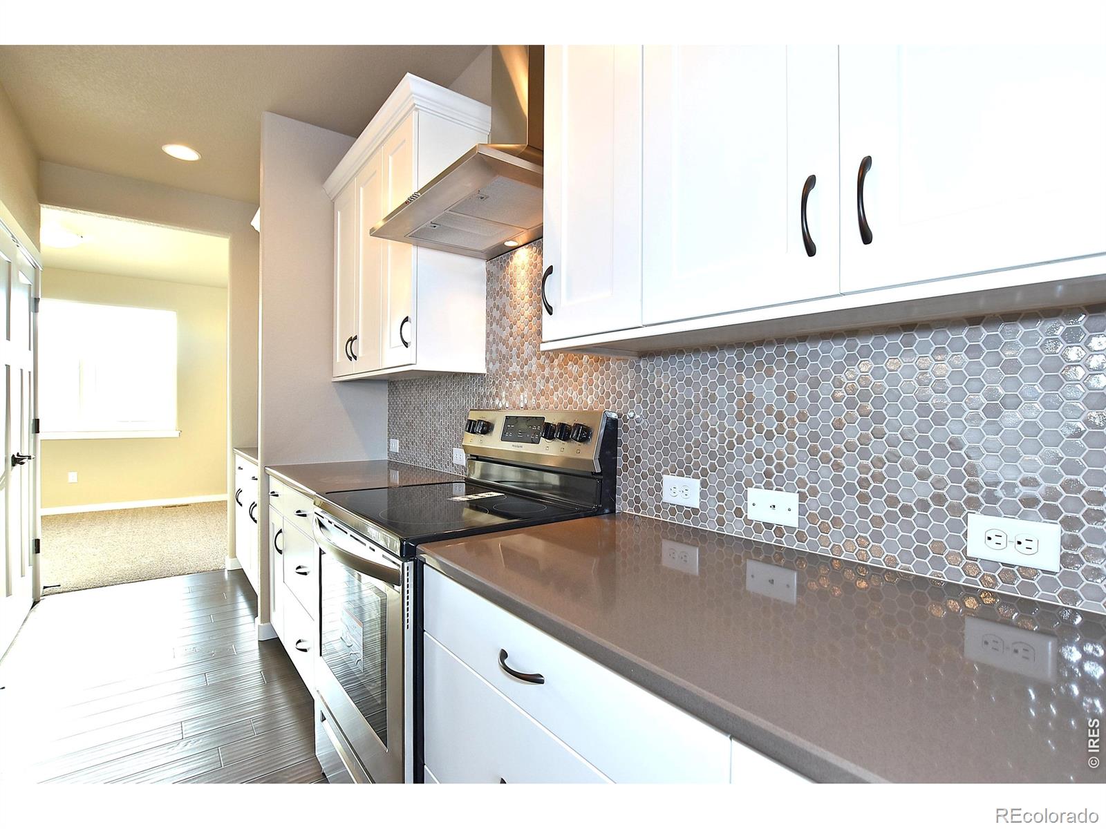 MLS Image #13 for 1173  crown sparrow street,johnstown, Colorado