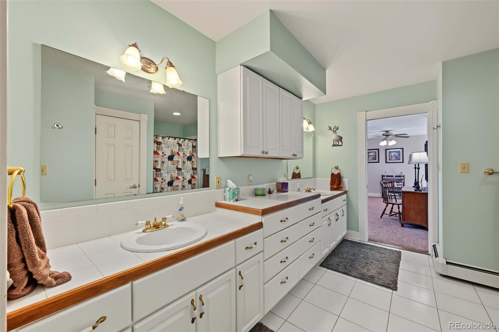 MLS Image #22 for 24505  co-96 ,wetmore, Colorado