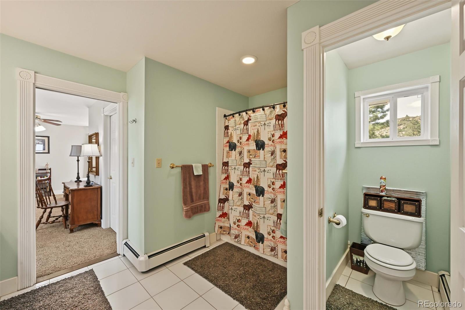 MLS Image #23 for 24505  co-96 ,wetmore, Colorado