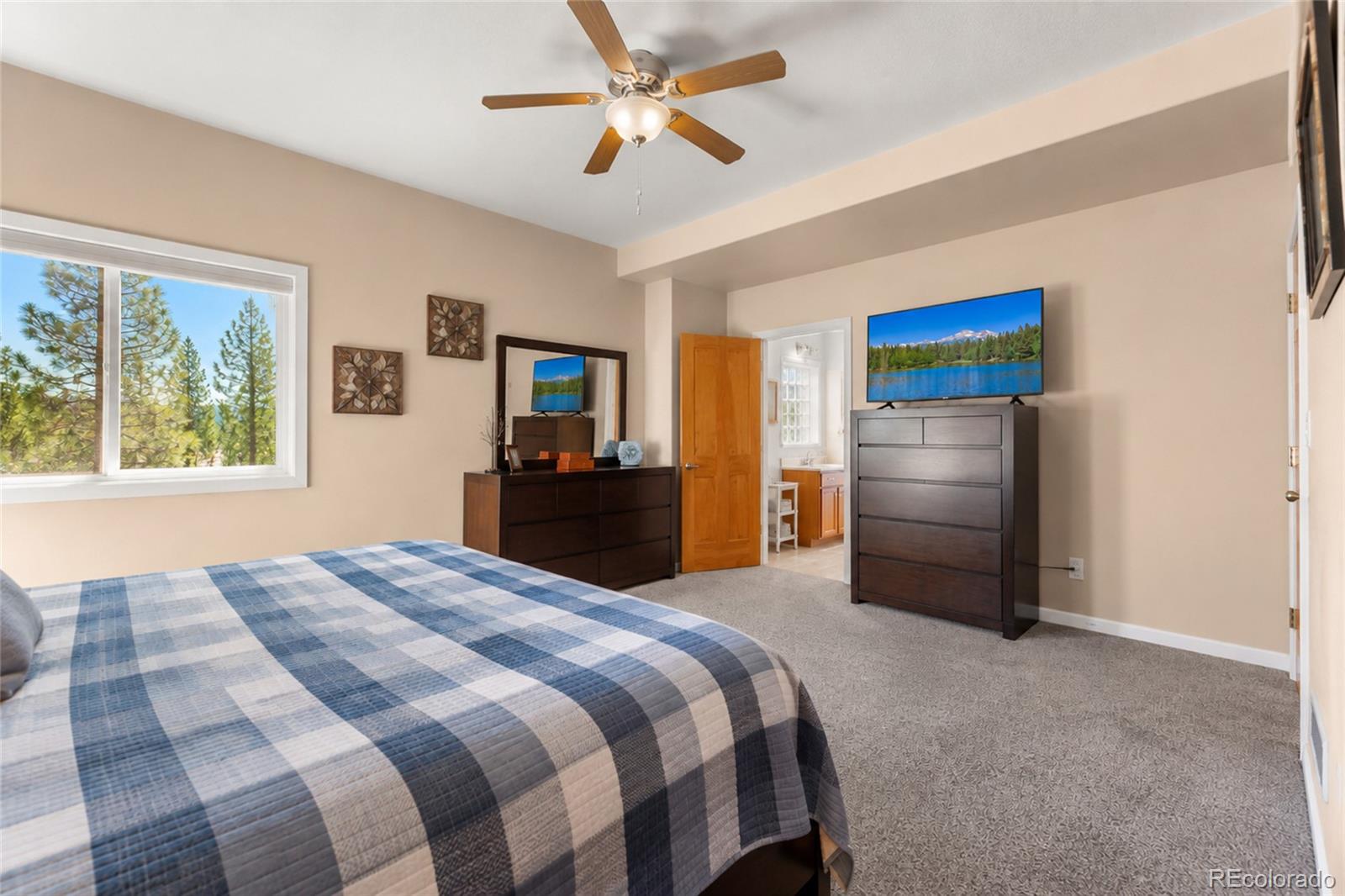MLS Image #18 for 563  pine cone circle,ward, Colorado