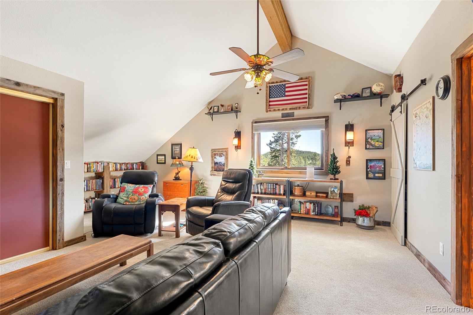 MLS Image #28 for 563  pine cone circle,ward, Colorado