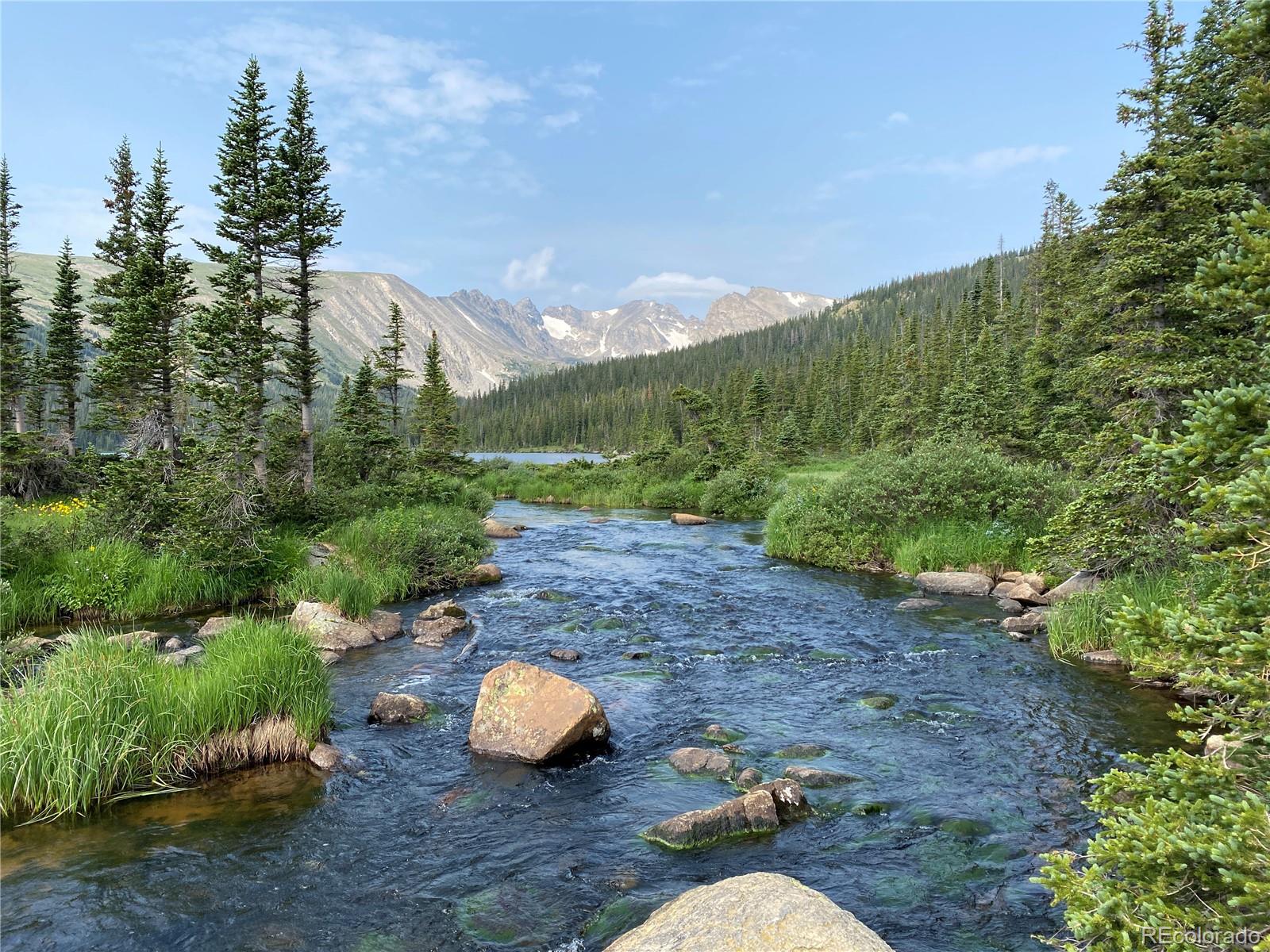 MLS Image #47 for 563  pine cone circle,ward, Colorado