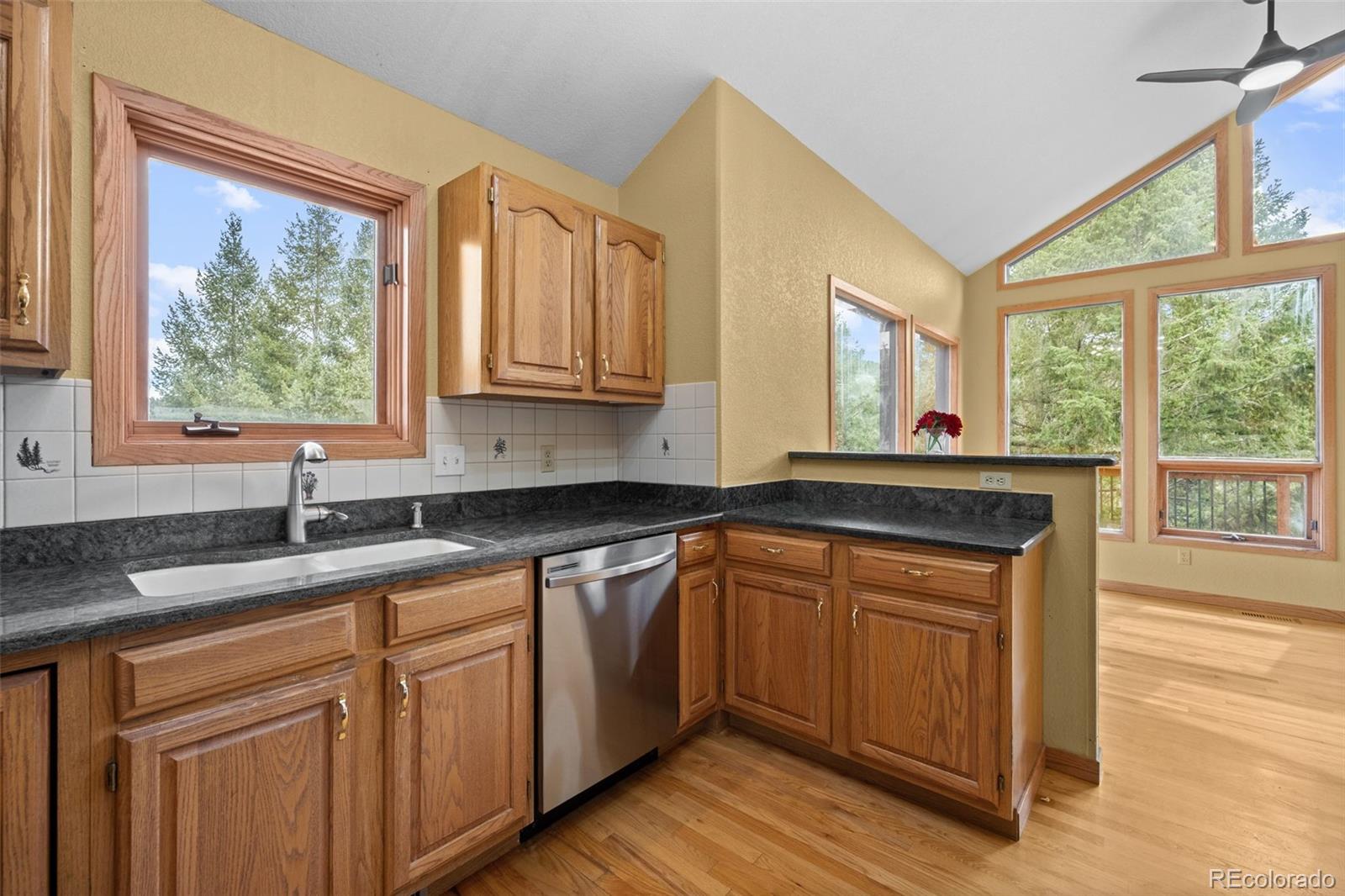 MLS Image #14 for 32438  little cub road,evergreen, Colorado