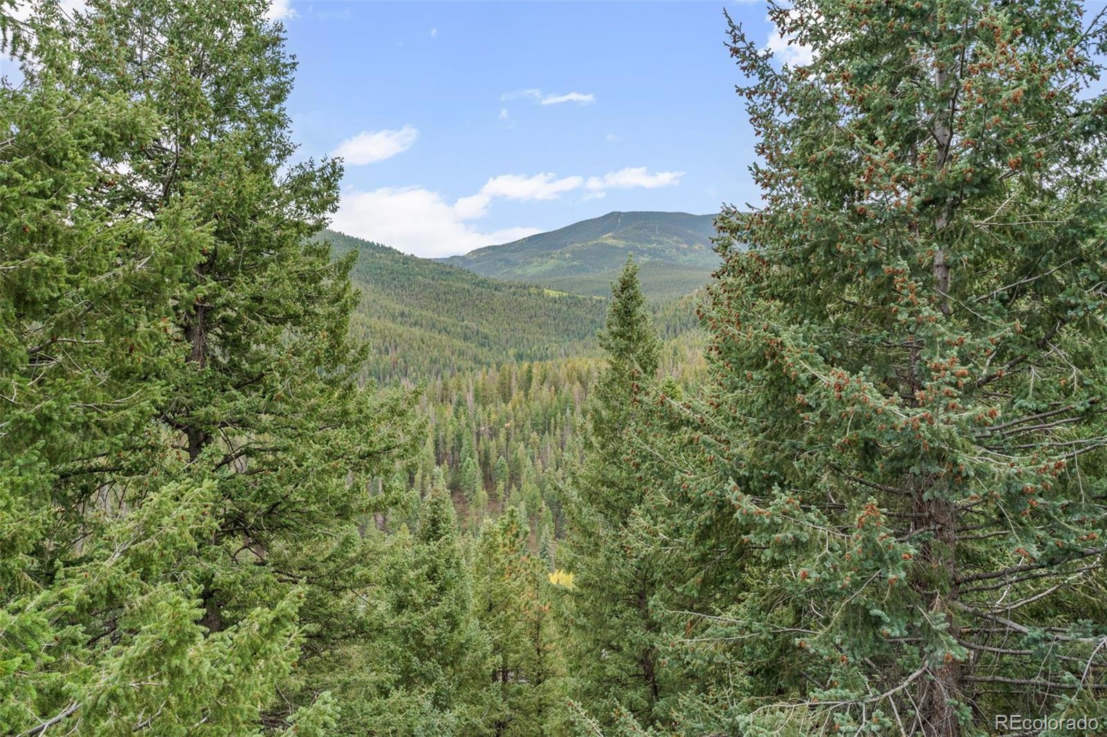 MLS Image #33 for 32438  little cub road,evergreen, Colorado