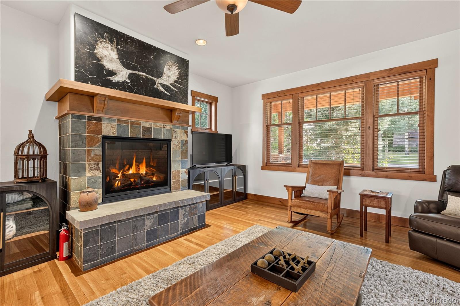 MLS Image #3 for 46  meadow trail,fraser, Colorado