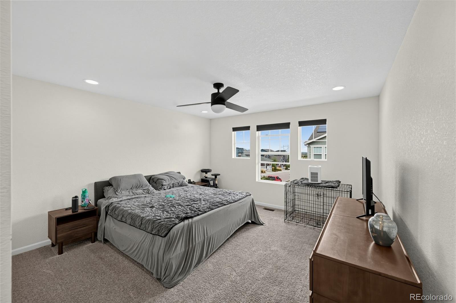MLS Image #13 for 8124  mount ouray road,littleton, Colorado