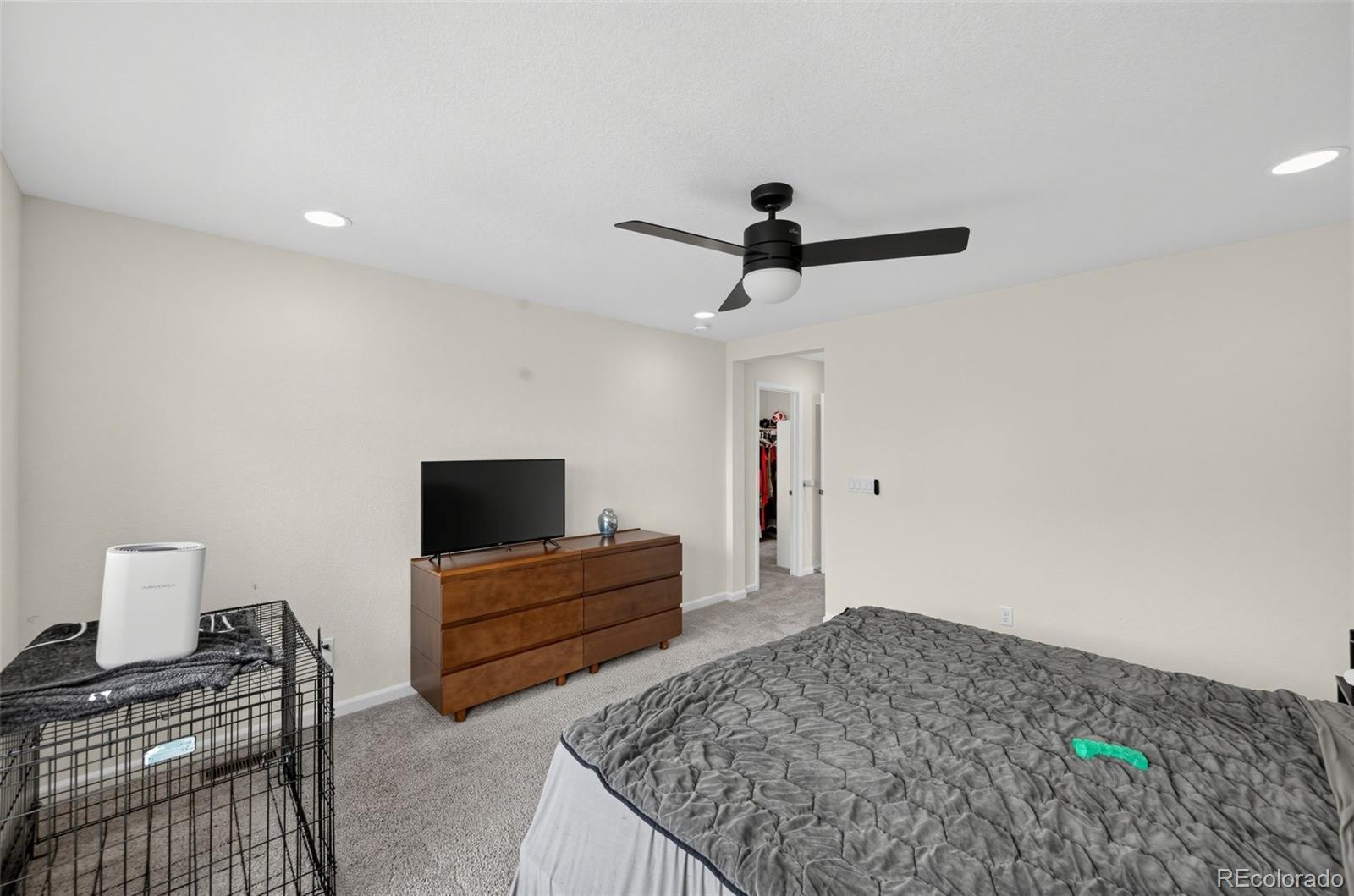 MLS Image #14 for 8124  mount ouray road,littleton, Colorado