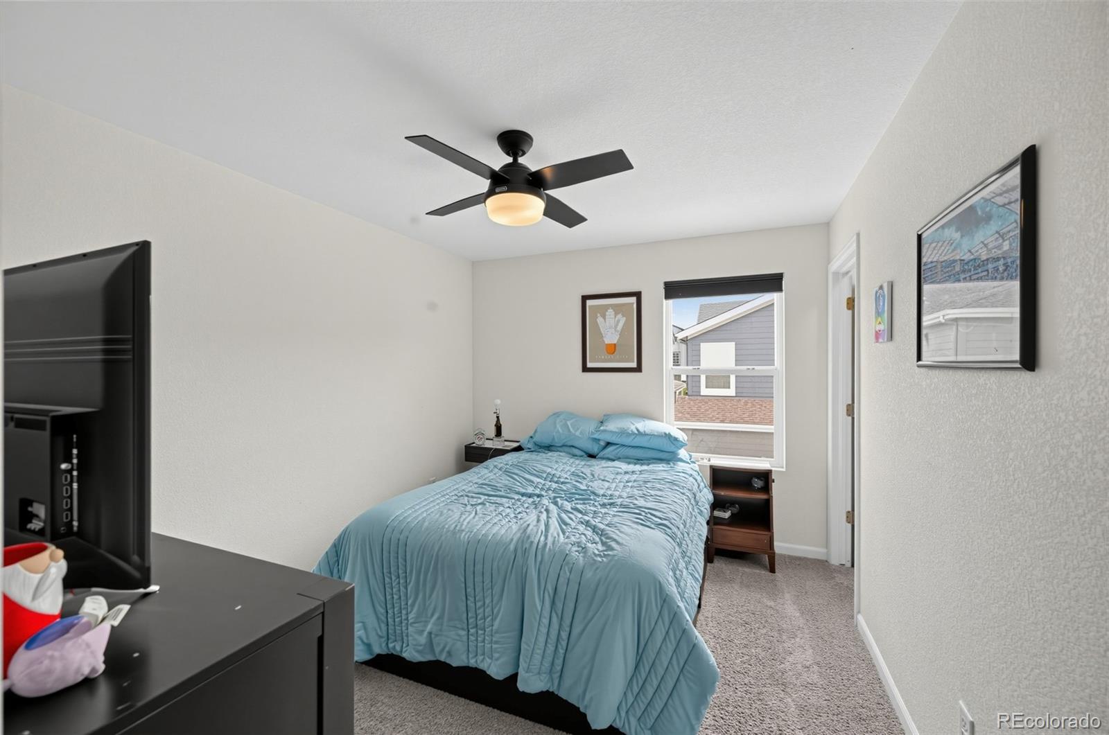 MLS Image #15 for 8124  mount ouray road,littleton, Colorado