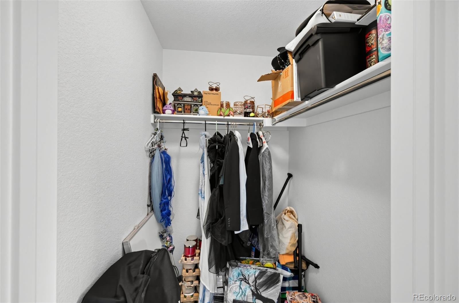 MLS Image #24 for 8124  mount ouray road,littleton, Colorado