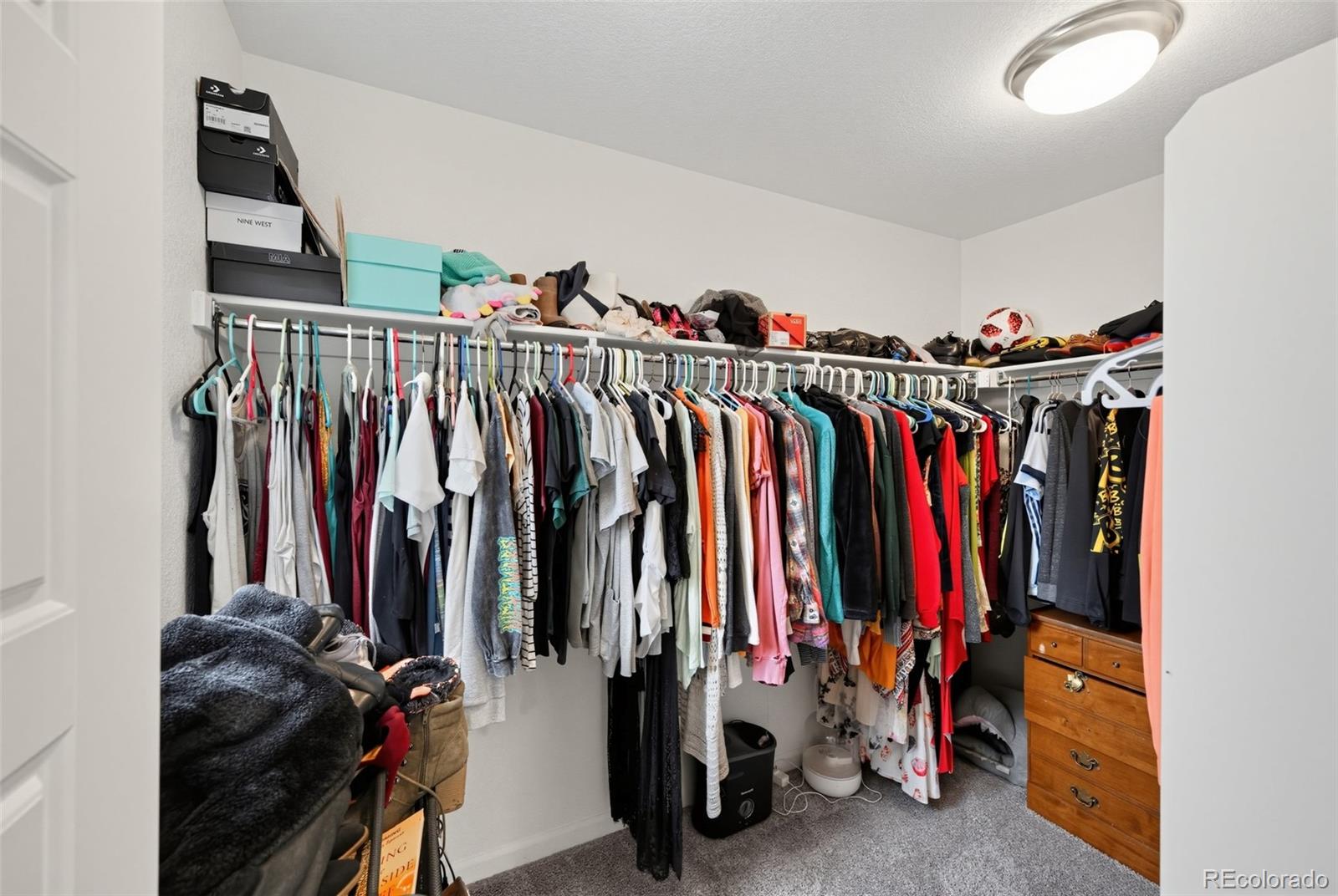 MLS Image #25 for 8124  mount ouray road,littleton, Colorado