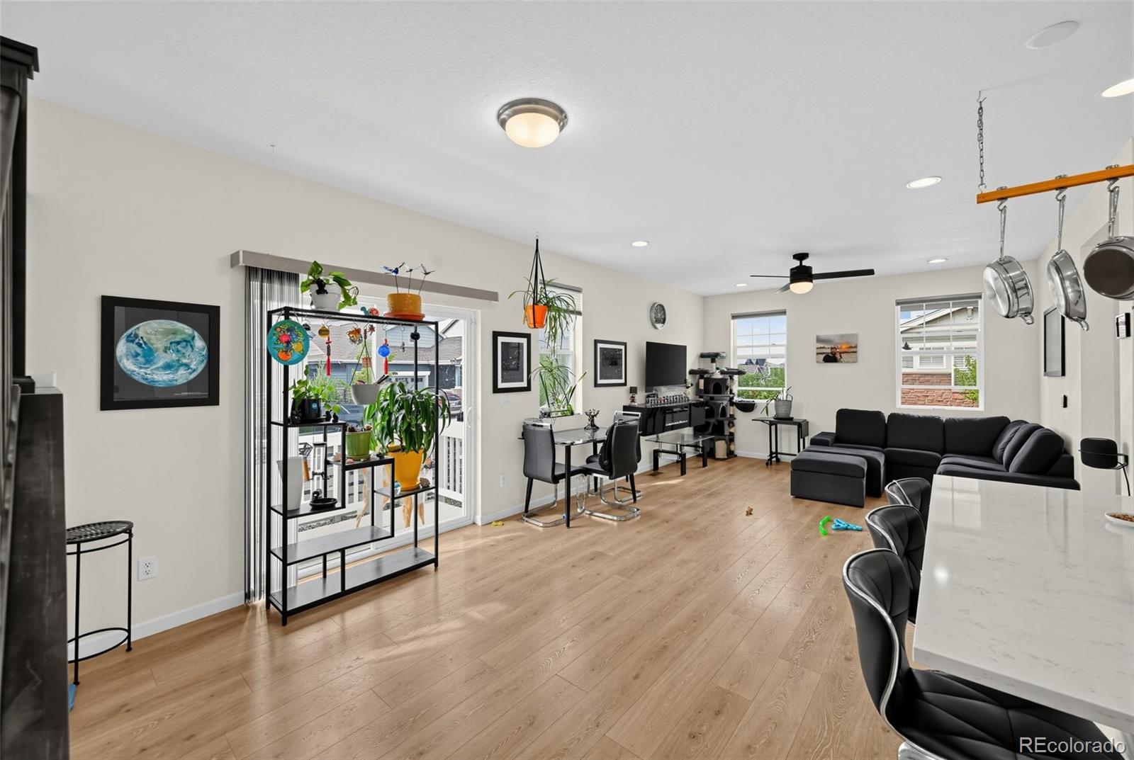 MLS Image #6 for 8124  mount ouray road,littleton, Colorado