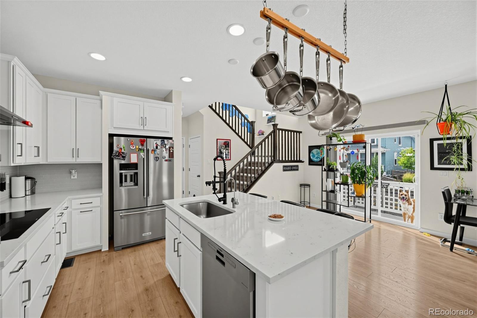 MLS Image #8 for 8124  mount ouray road,littleton, Colorado