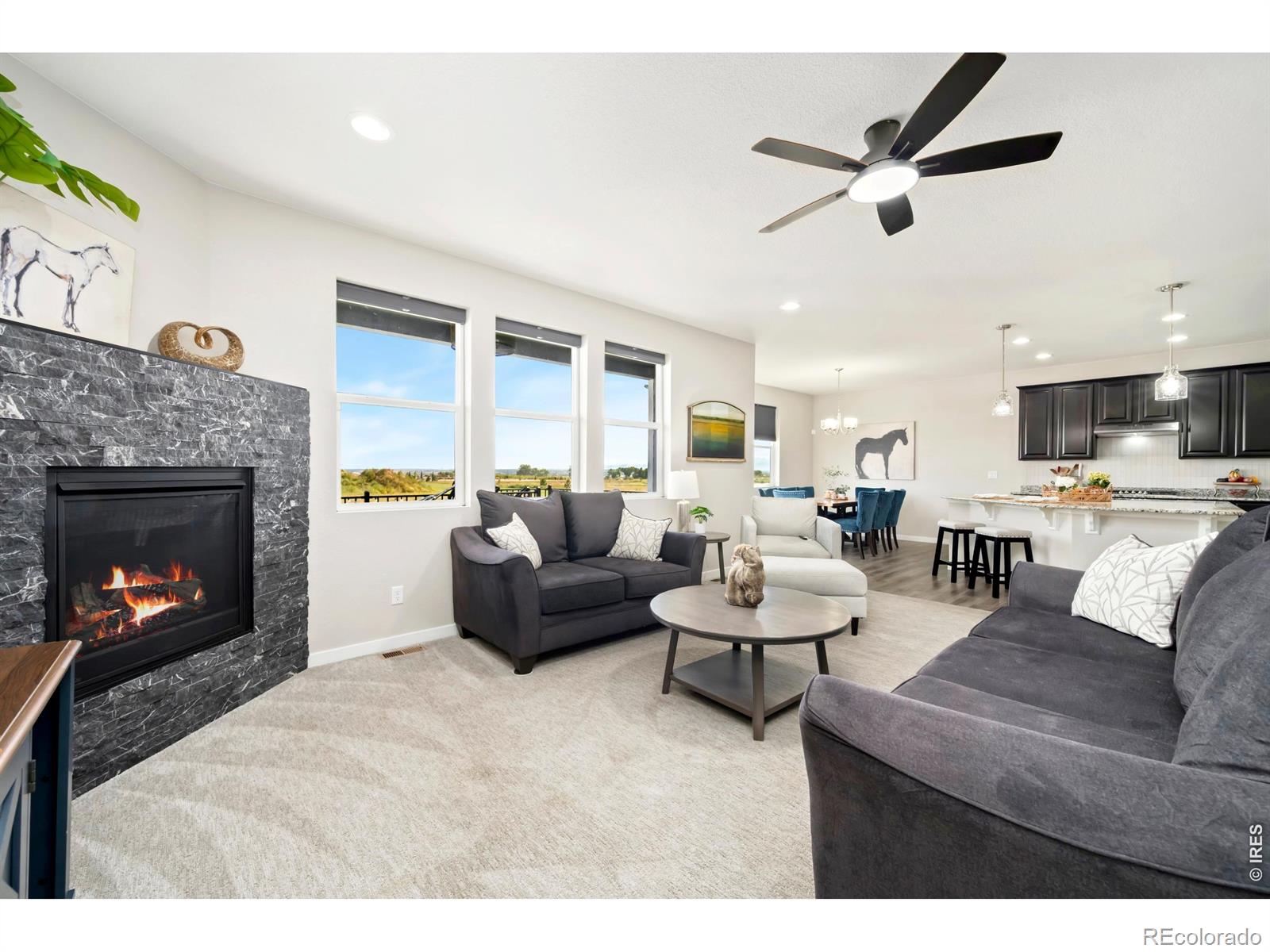 MLS Image #9 for 1829  holloway drive,windsor, Colorado