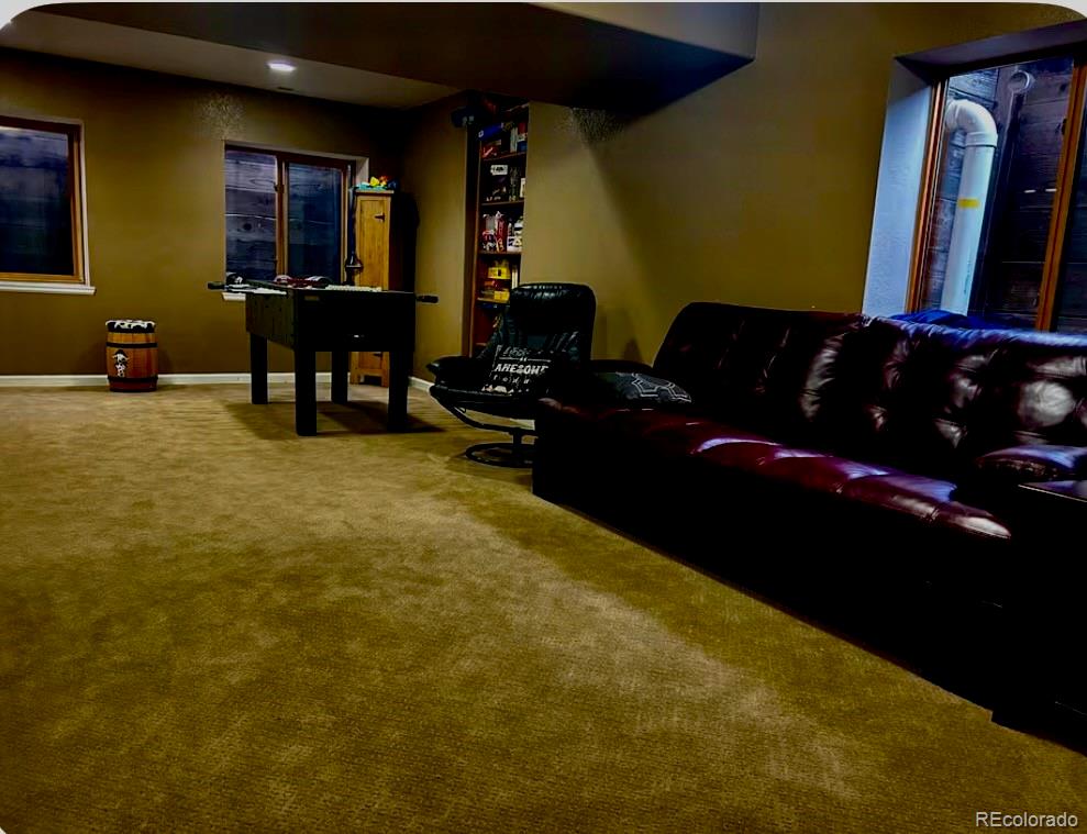 MLS Image #10 for 2520  tamora way,colorado springs, Colorado