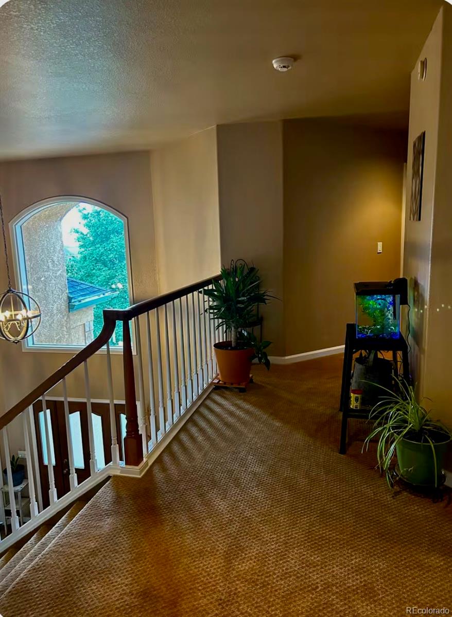 MLS Image #15 for 2520  tamora way,colorado springs, Colorado