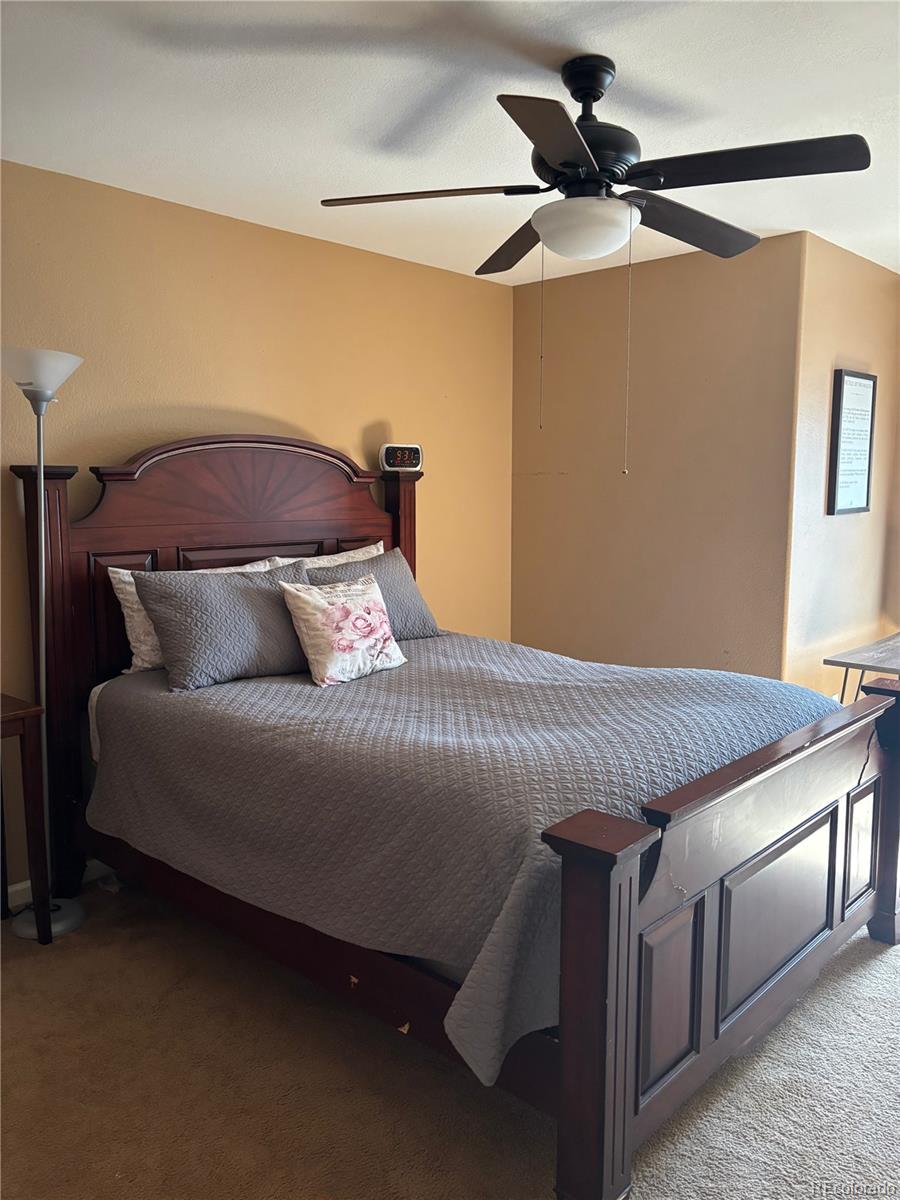 MLS Image #19 for 2520  tamora way,colorado springs, Colorado