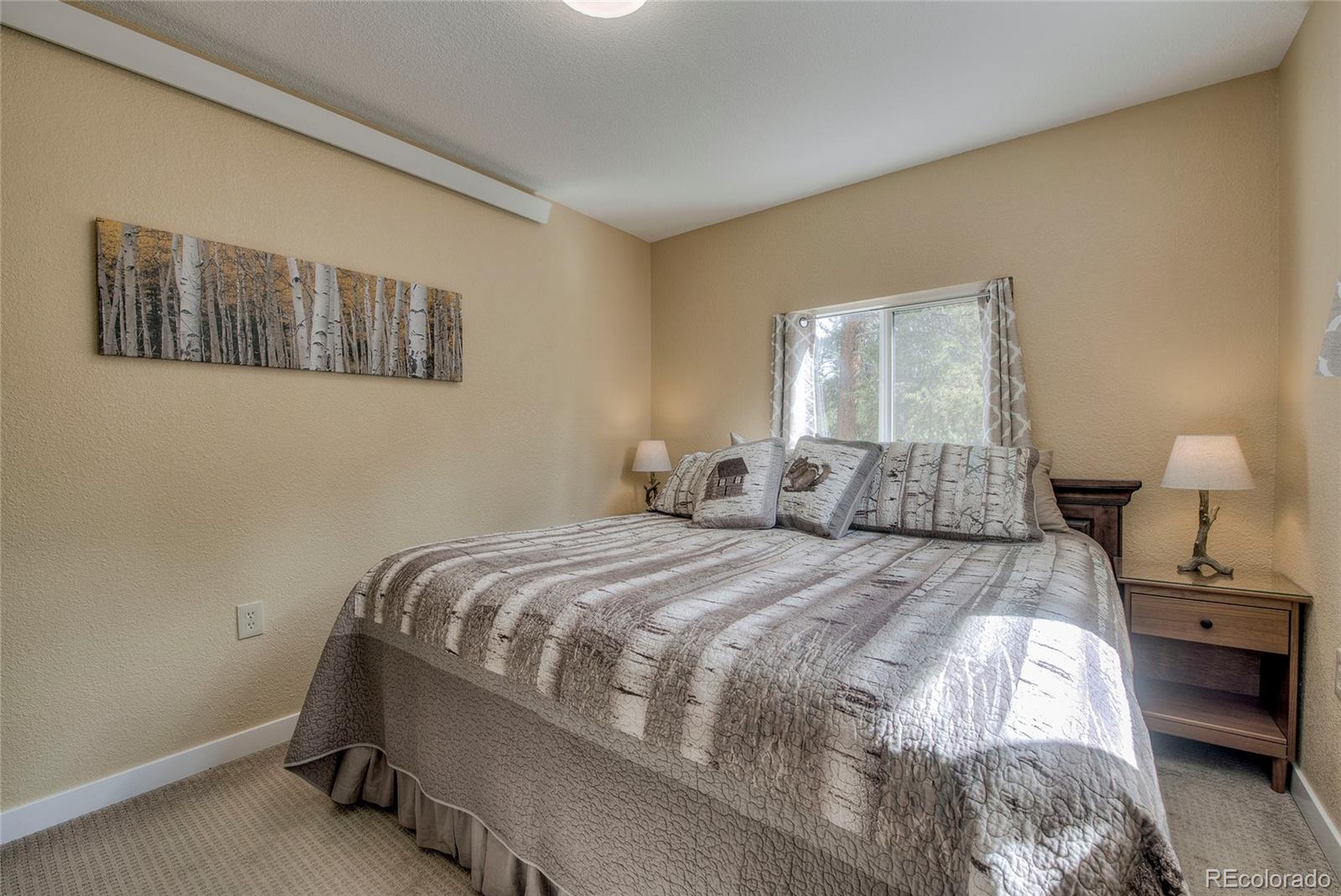 MLS Image #12 for 1835  four seasons boulevard,leadville, Colorado