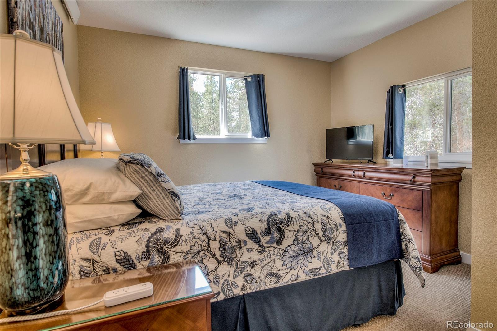 MLS Image #13 for 1835  four seasons boulevard,leadville, Colorado