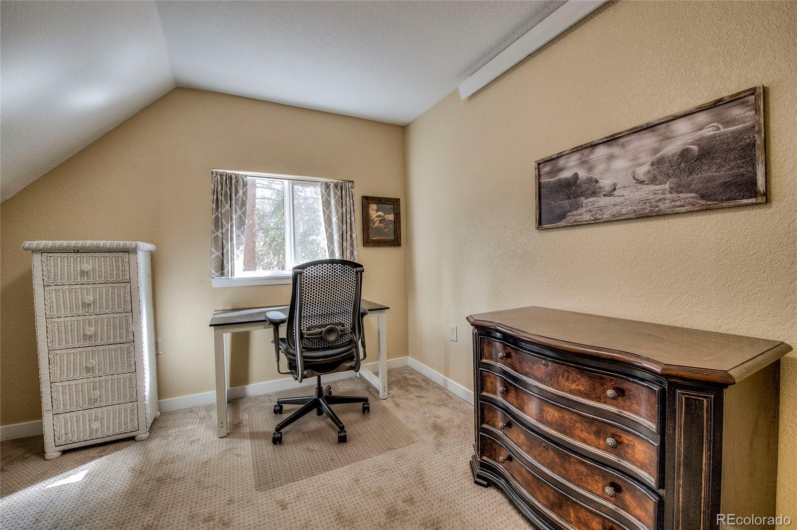 MLS Image #14 for 1835  four seasons boulevard,leadville, Colorado