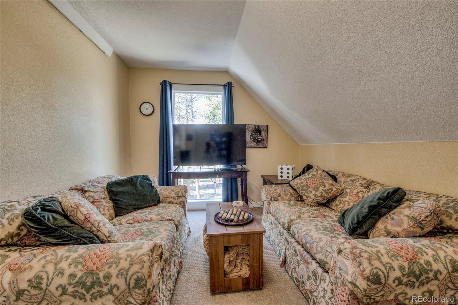 MLS Image #16 for 1835  four seasons boulevard,leadville, Colorado