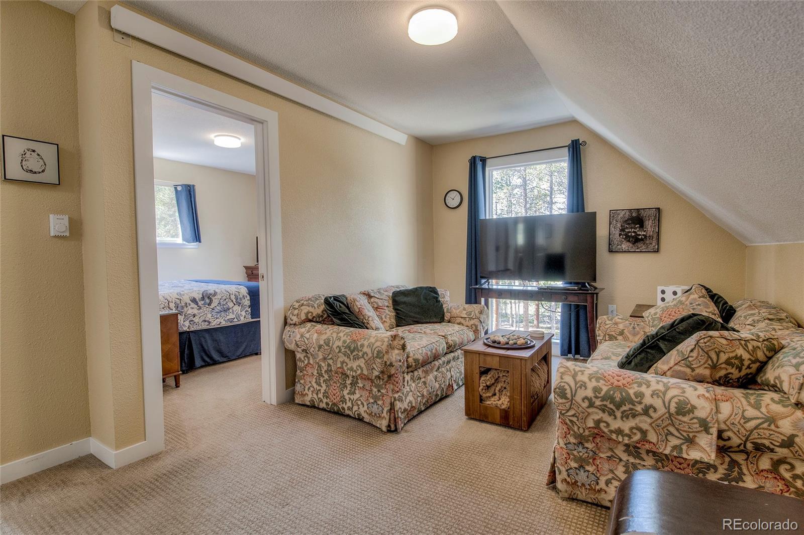 MLS Image #17 for 1835  four seasons boulevard,leadville, Colorado