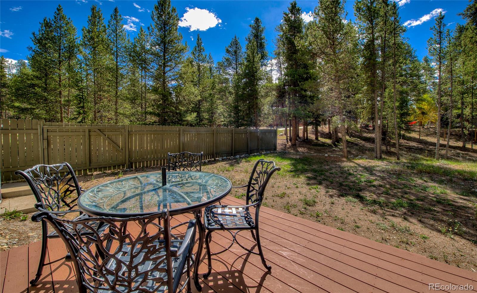 MLS Image #19 for 1835  four seasons boulevard,leadville, Colorado