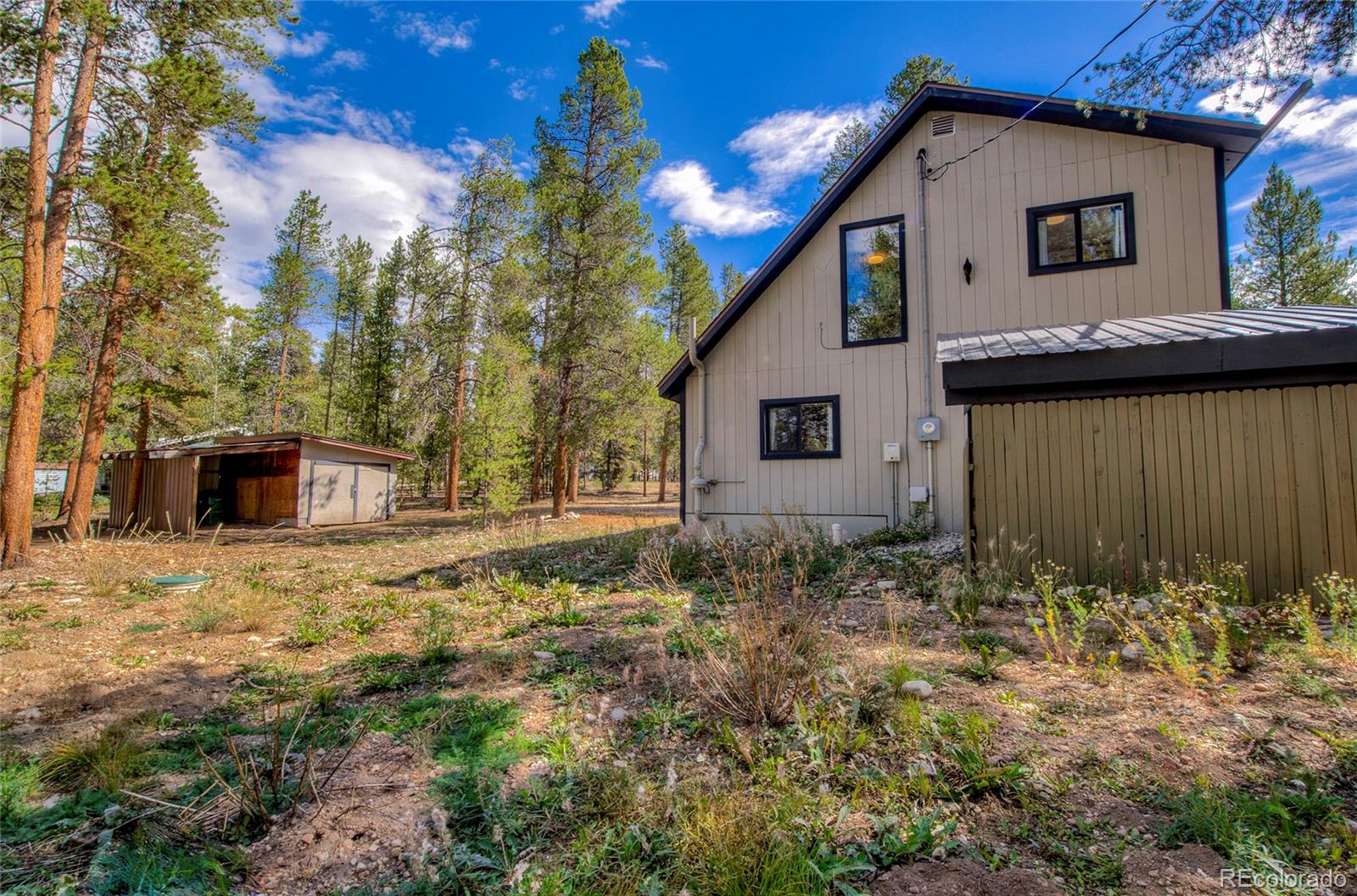 MLS Image #23 for 1835  four seasons boulevard,leadville, Colorado